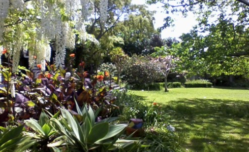 Kiwi Girls Gardens